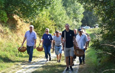 Okładka albumu: Kultura, Tradycja i... Placki 2025